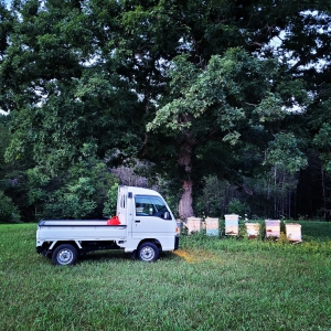 Sambar Beekeeping Truck